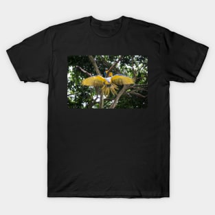 Soaring Beauty: The Majestic Flight of the Macaw T-Shirt